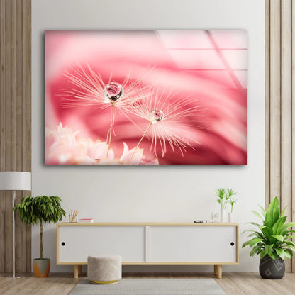 Waterdrops on Dandelion Flowers Photograph Acrylic Glass Print Tempered Glass Wall Art 100% Made in Australia Ready to Hang