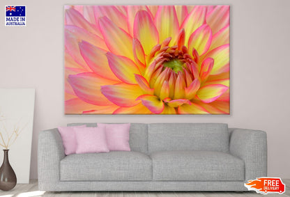 Yellow Pink Dahlia Flower Macro Photograph Print 100% Australian Made