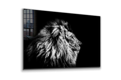 Lion B&W Side View Print Tempered Glass Wall Art 100% Made in Australia Ready to Hang