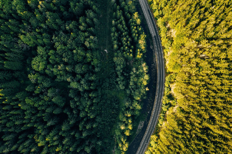 Foliage Forest and Curvy Road Sunset Photograph Print 100% Australian Made