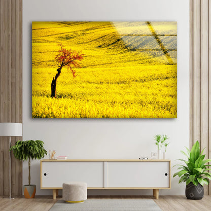 Tree on Yellow Flower Field Photograph Acrylic Glass Print Tempered Glass Wall Art 100% Made in Australia Ready to Hang