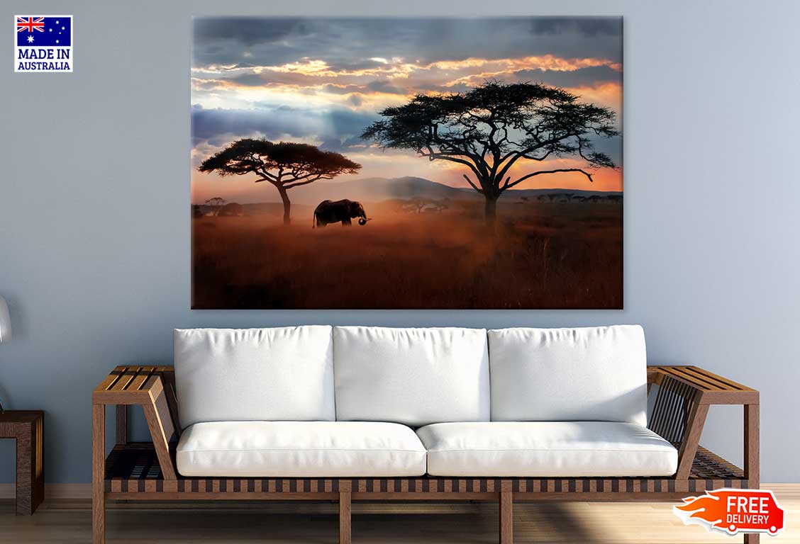 African Elephant Serengeti Park Photograph Print 100% Australian Made