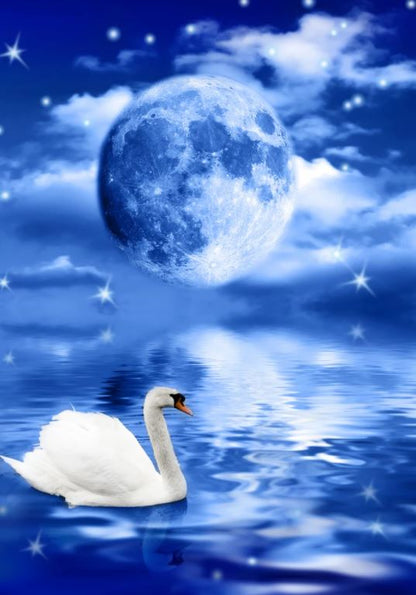 Swans on Lake Night View Home Decor Premium Quality Poster Print Choose Your Sizes