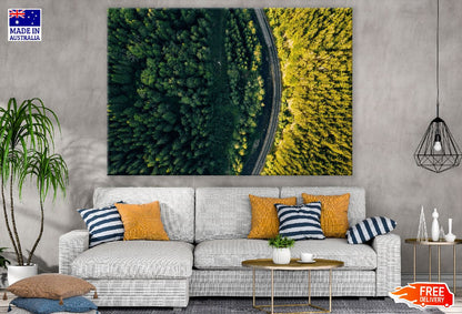 Foliage Forest and Curvy Road Sunset Photograph Print 100% Australian Made