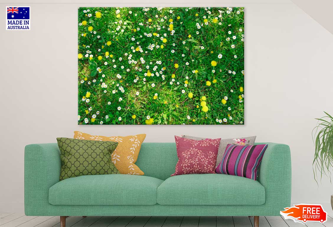 White Daisies Flower Aerial View Photograph Print 100% Australian Made