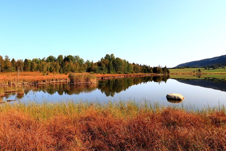 Autumn Alemoor Loch & Lake Photograph Print 100% Australian Made