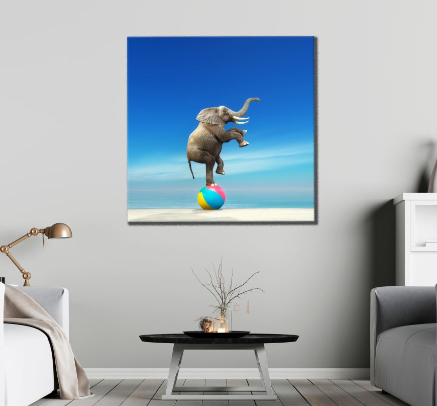 Square Canvas Elephant on a Ball Photograph High Quality Print 100% Australian Made