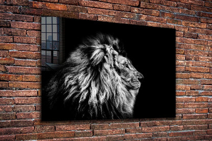 Lion B&W Side View Print Tempered Glass Wall Art 100% Made in Australia Ready to Hang