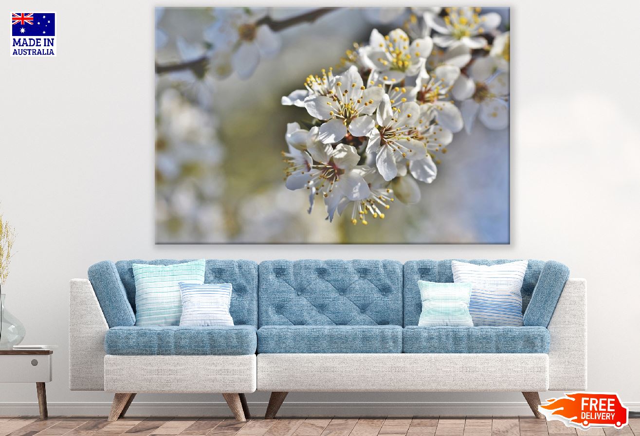 White Plum blossom Flowers Closeup Photograph Print 100% Australian Made