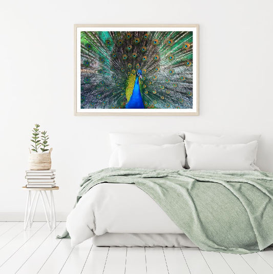 Peacock Closeup Photograph Home Decor Premium Quality Poster Print Choose Your Sizes