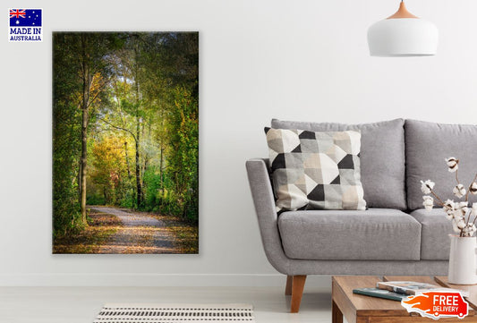 Pathway Covered with Autumn Trees Photograph Print 100% Australian Made