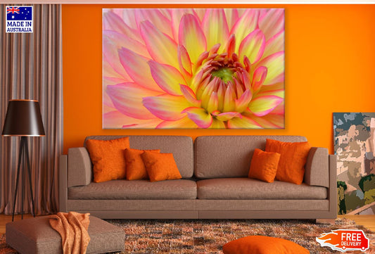 Yellow Pink Dahlia Flower Macro Photograph Print 100% Australian Made