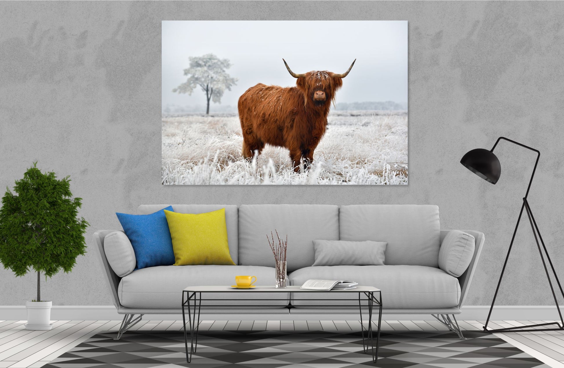 Highland cow Print 100% Australian Made