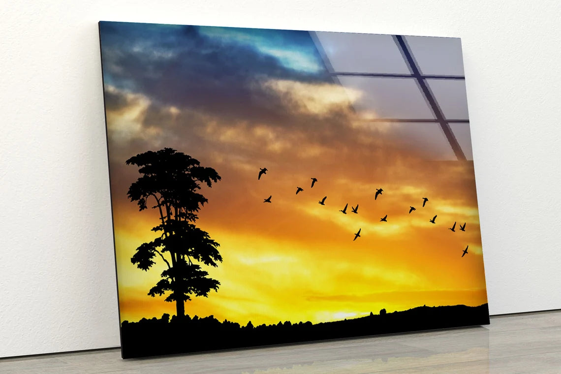 Birds on Sunset Sky with Tree View Photograph Acrylic Glass Print Tempered Glass Wall Art 100% Made in Australia Ready to Hang