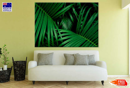 Tropical Palm Leaves Photograph Print 100% Australian Made