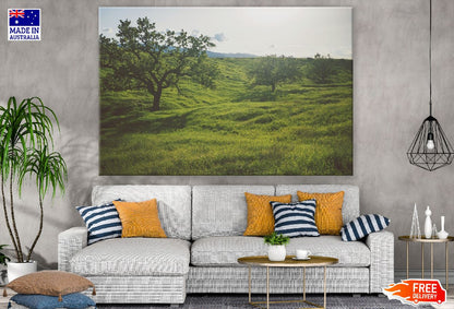 Trees on Green Grass Field Photograph Print 100% Australian Made