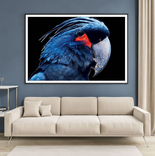 Blue Macaw Bird Portrait Photograph Home Decor Premium Quality Poster Print Choose Your Sizes