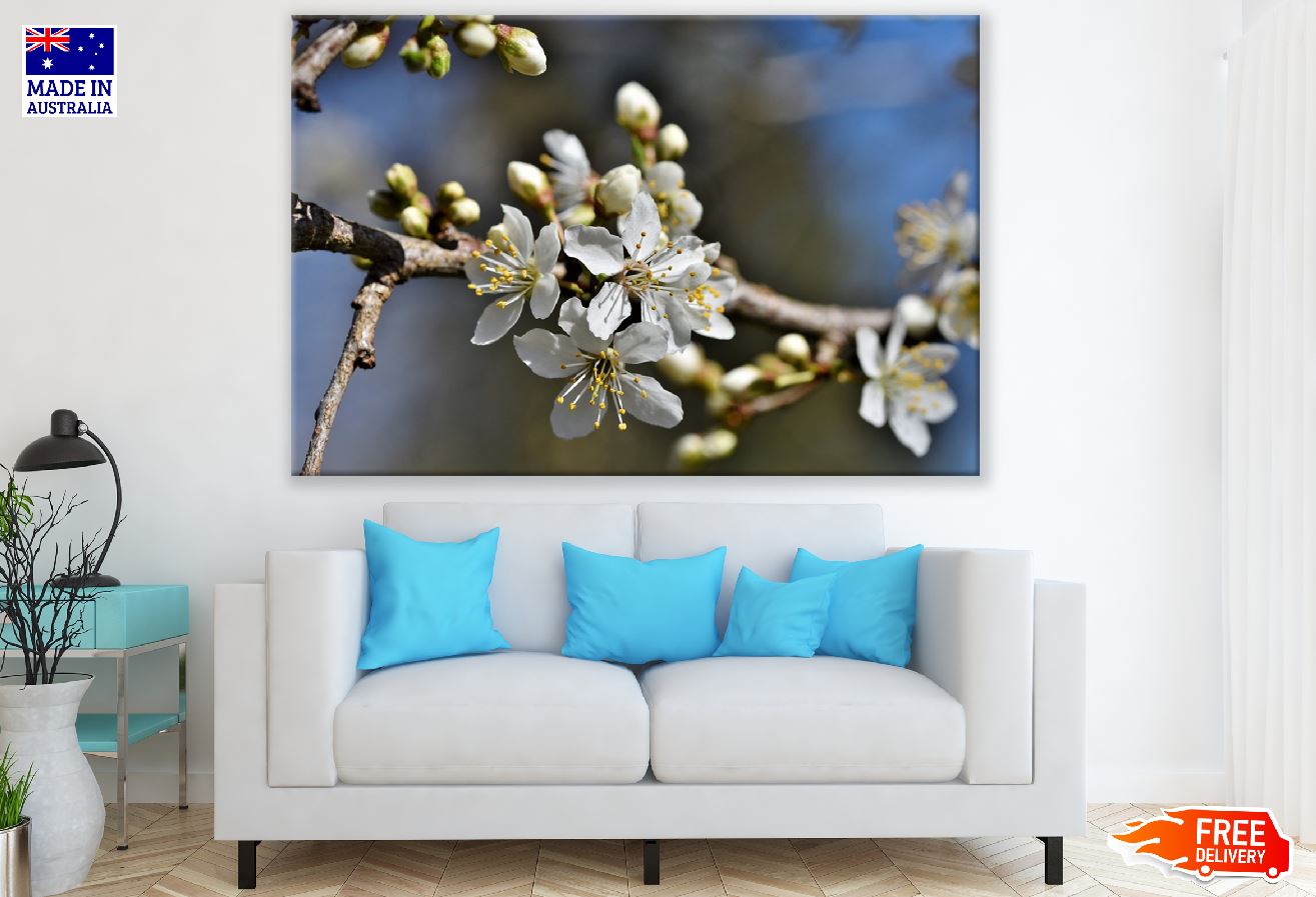 White Plum blossom Flowers with Branch Photograph Print 100% Australian Made