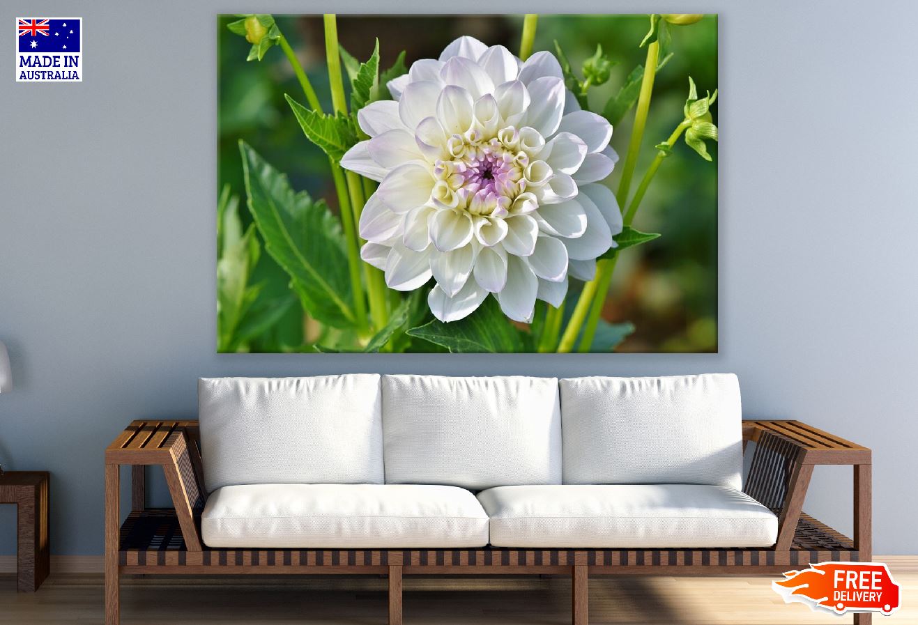 White Dahlia Flower Closeup Photograph Print 100% Australian Made