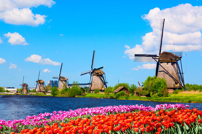 Wallpaper Murals Peel and Stick Removable Windmills Near Flower Field High Quality