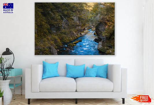 Forest River Running Through Mountain Photograph Print 100% Australian Made