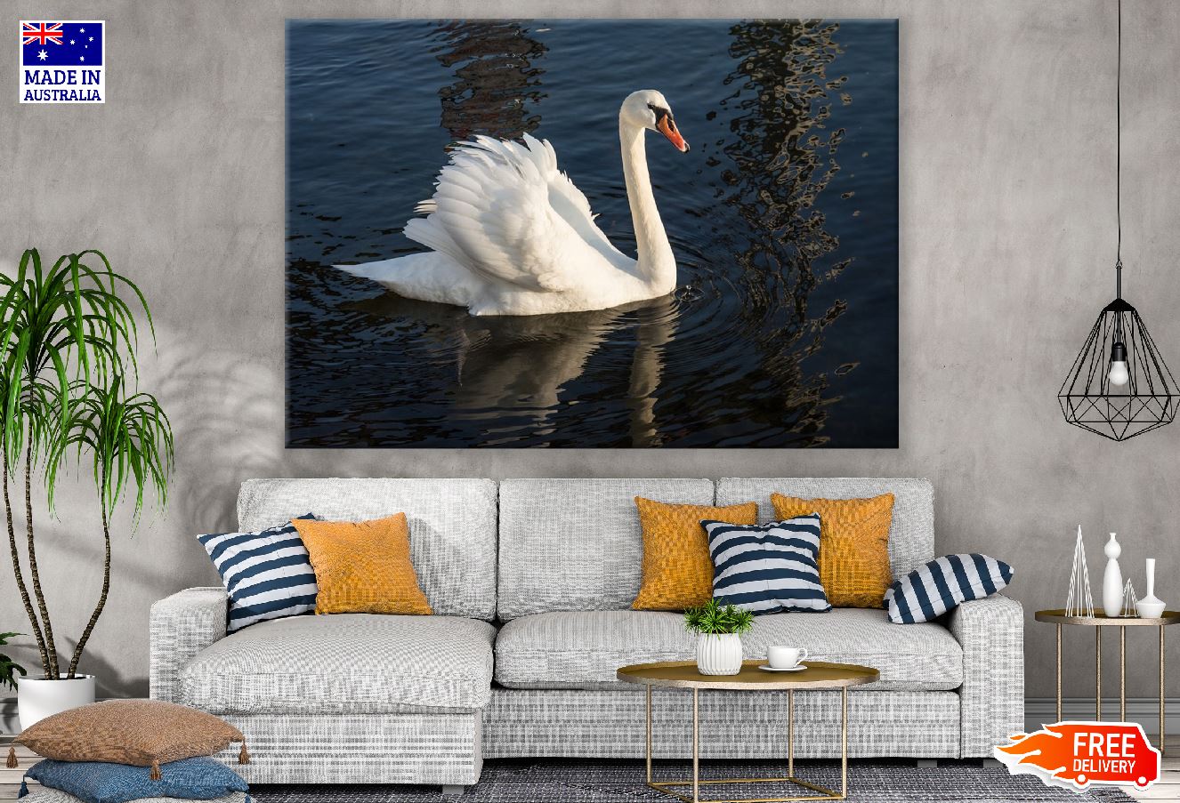 Swan Bird on Sea Closeup Photograph Print 100% Australian Made