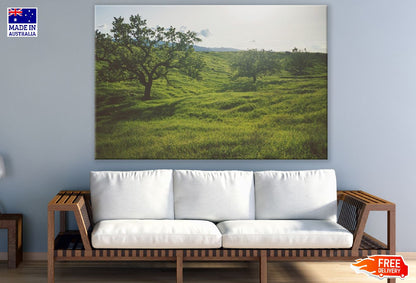 Trees on Green Grass Field Photograph Print 100% Australian Made