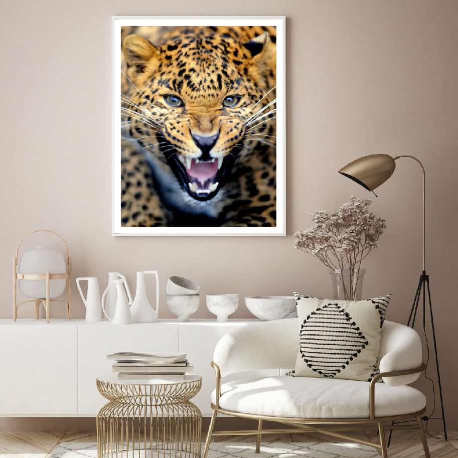 Leopard Face Portrait Photograph Home Decor Premium Quality Poster Print Choose Your Sizes