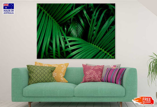 Tropical Palm Leaves Photograph Print 100% Australian Made