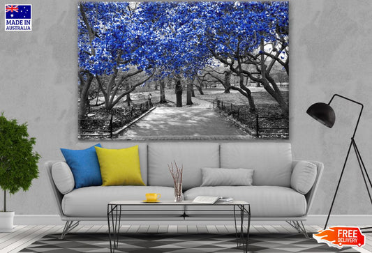 Blue Leaves with B&W Tree Photograph Print 100% Australian Made