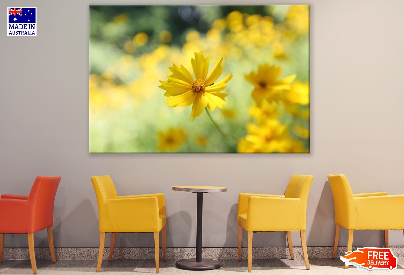 Marigold Flower Closeup Photograph Print 100% Australian Made
