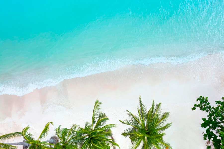 Bella Home Sand Beach & Palm Trees Aerial Print Canvas Ready to hang