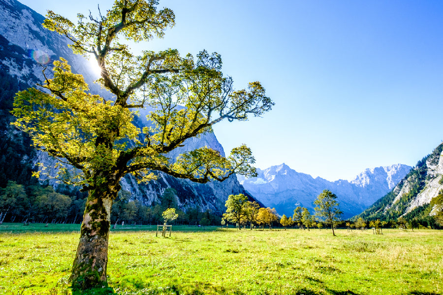 Karwendel Mountain & Tree Scenery View Photograph Home Decor Premium Quality Poster Print Choose Your Sizes