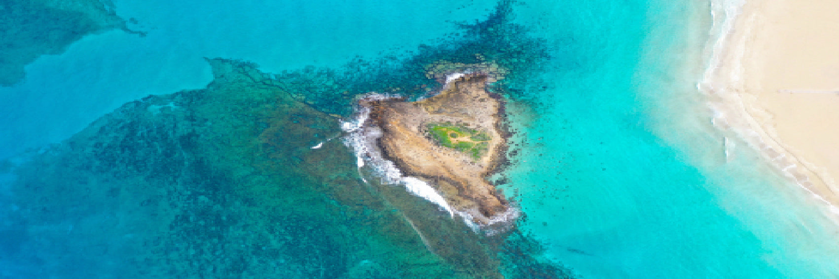 Panoramic Canvas Fig Tree Bay Island View Photograph High Quality 100% Australian Made Wall Canvas Print Ready to Hang