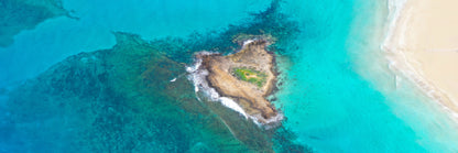Panoramic Canvas Fig Tree Bay Island View Photograph High Quality 100% Australian Made Wall Canvas Print Ready to Hang