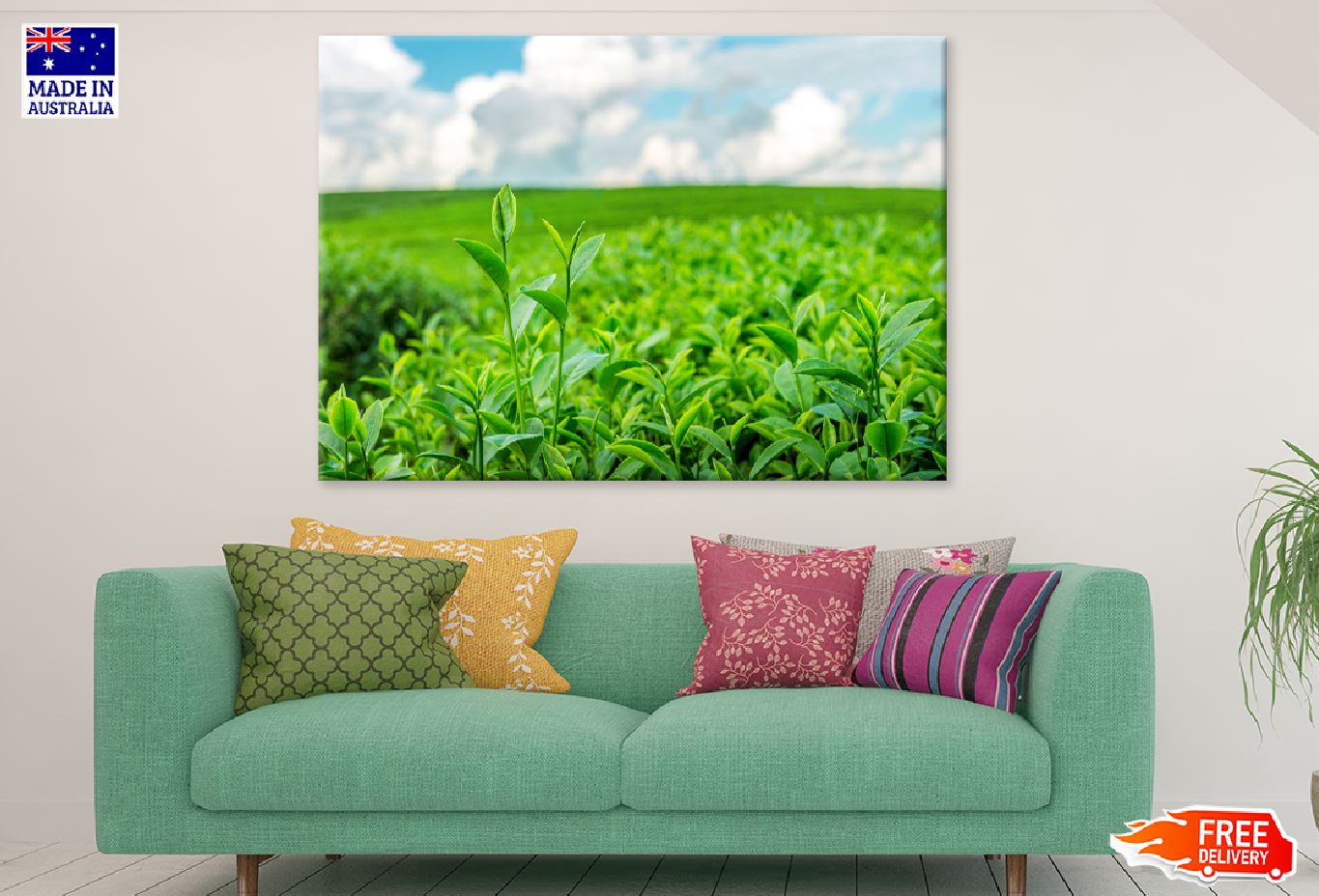 Green Tea Bud Leaves Sky View Photograph Print 100% Australian Made