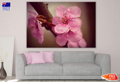 Cherry Blossom Flowers and Pistil Photograph Print 100% Australian Made