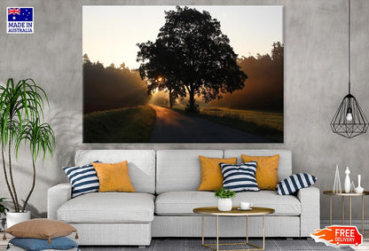 Trees Near Road Photograph Print 100% Australian Made