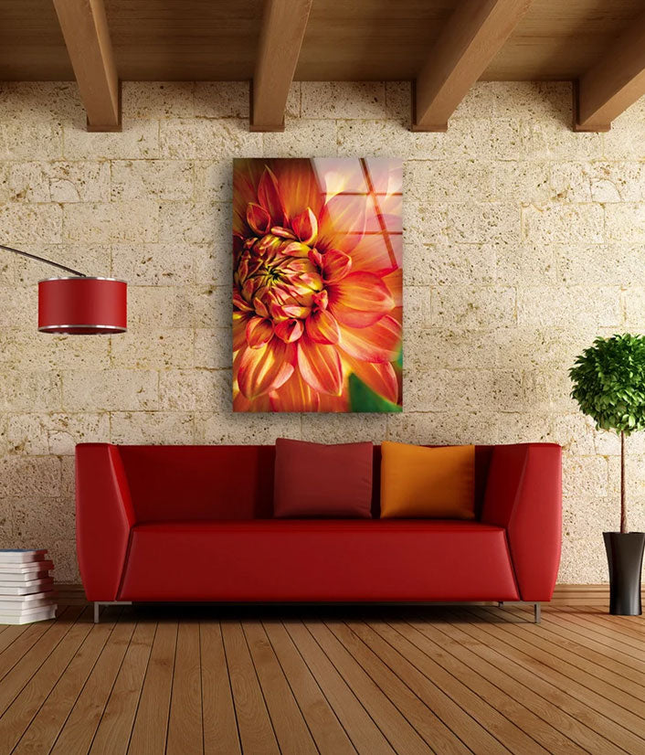 Orange Flower Closeup Photograph Acrylic Glass Print Tempered Glass Wall Art 100% Made in Australia Ready to Hang