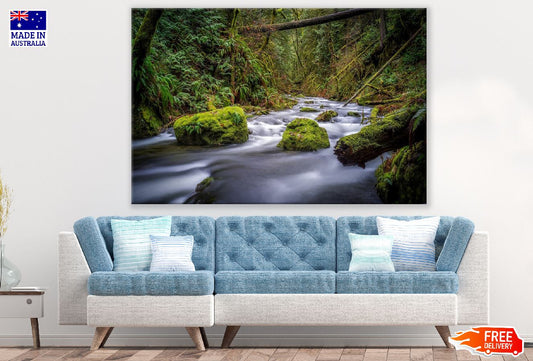 Nature Landscape River Forest Canada Print 100% Australian Made