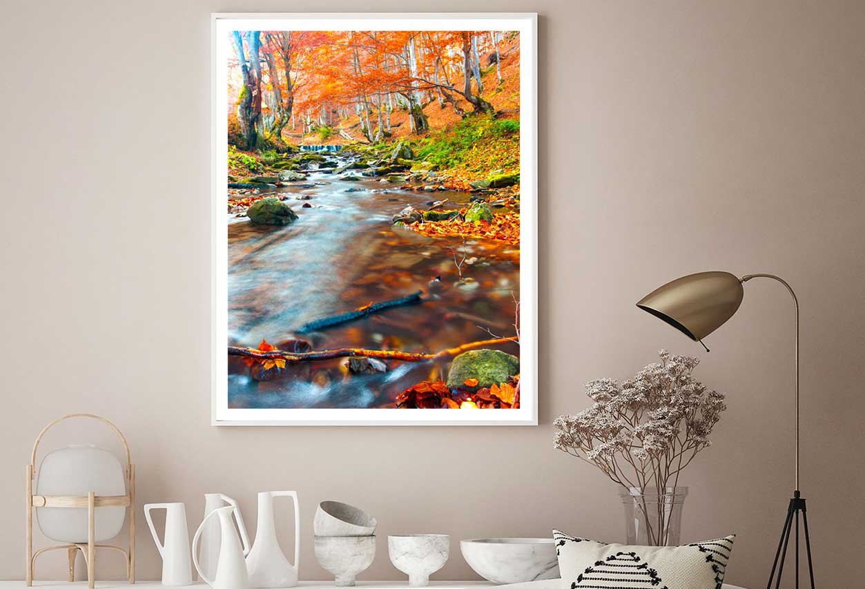 Stream in Autumn Forest Scenery View Photograph Home Decor Premium Quality Poster Print Choose Your Sizes
