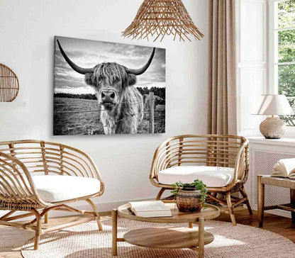 Bella Home Highland Cow B&W Photograph Print Canvas Ready to hang