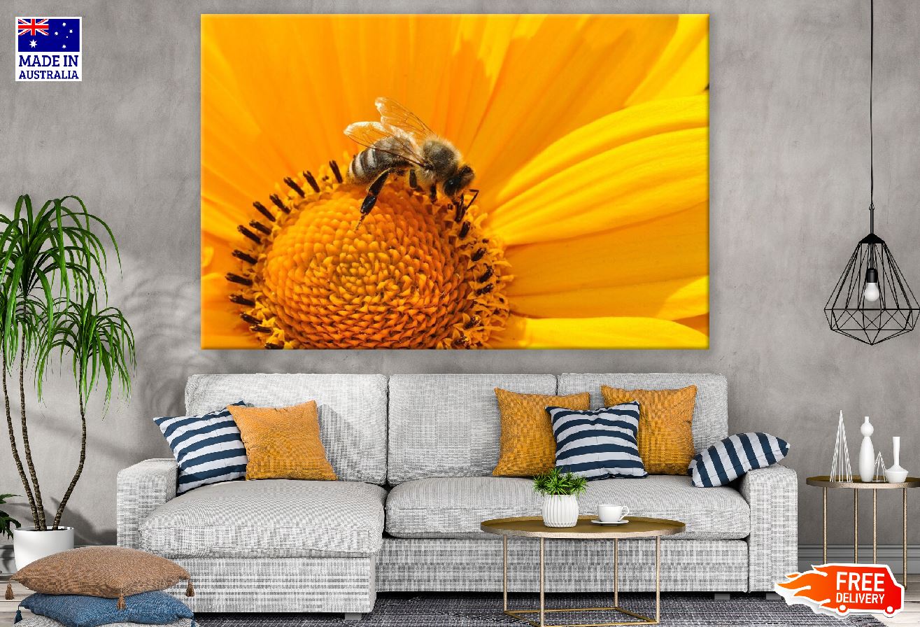 Bee Getting Nectar on Sunflower Photograph Print 100% Australian Made