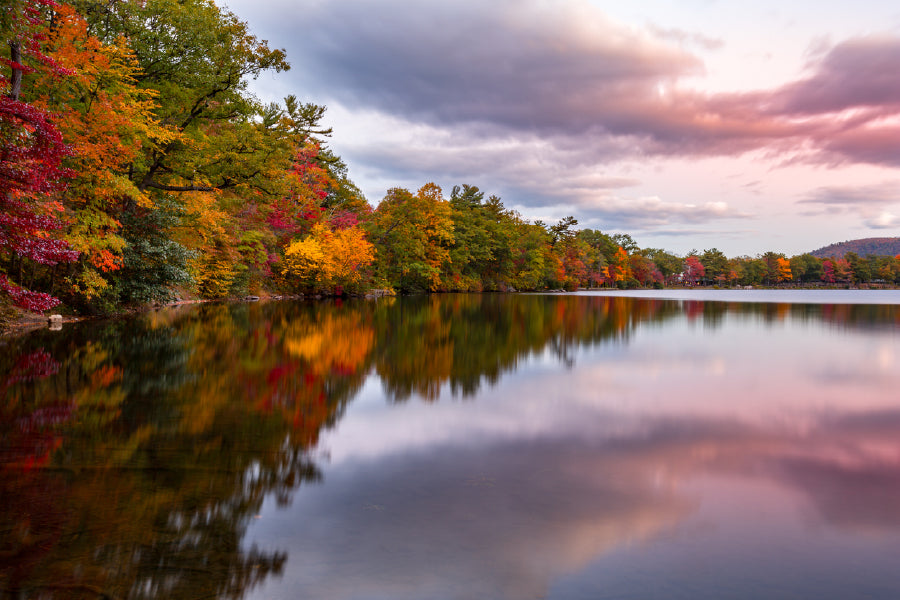 Autumn Trees View on Lake Scenery View Photograph Print 100% Australian Made