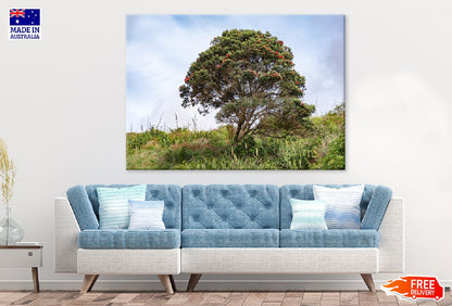 Blooming Pohutukawa Tree View Photograph Print 100% Australian Made