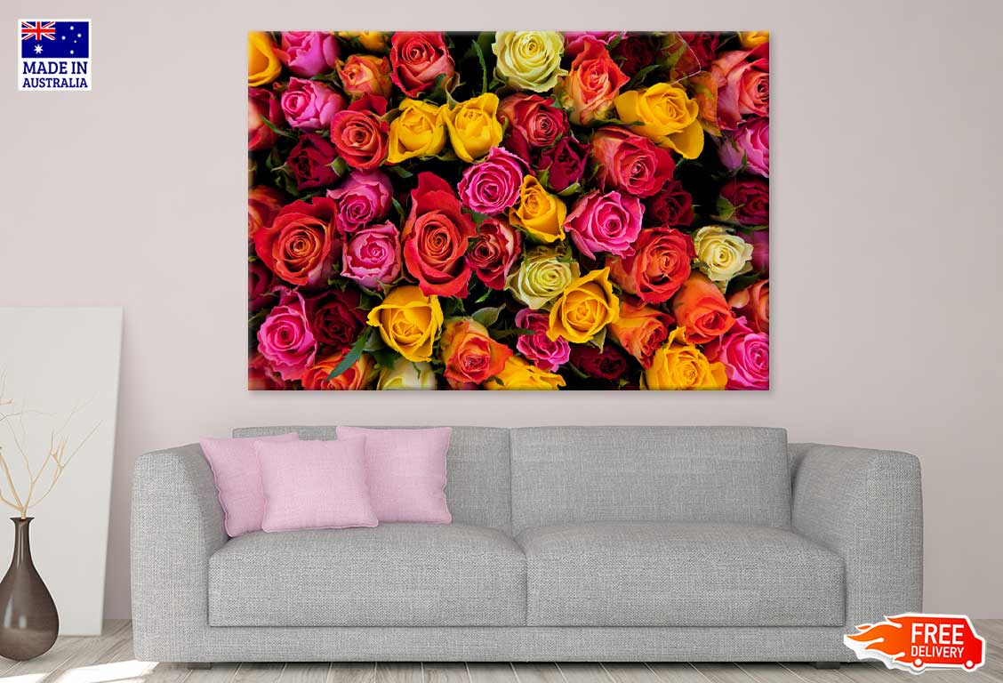 Yellow Red & Pink Roses View Photograph Print 100% Australian Made