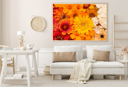 Yellow & Orange Daisy Flowers Photograph Home Decor Premium Quality Poster Print Choose Your Sizes