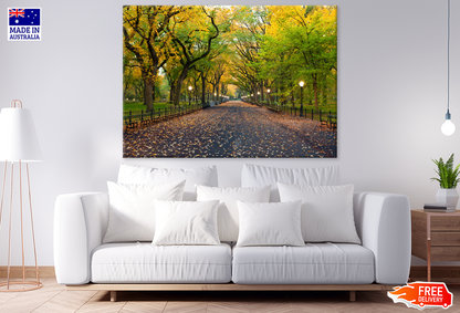 Yellow Flower Trees & Walking Road View Print 100% Australian Made