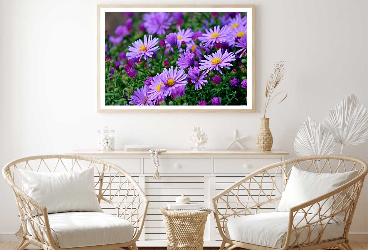 Purple Aster Flowers Field View Photograph Home Decor Premium Quality Poster Print Choose Your Sizes