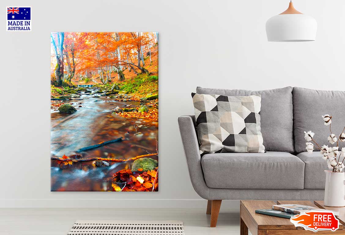 Stream in Autumn Forest Scenery Photograph Print 100% Australian Made